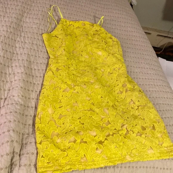 knee length dresses for ladies Zimmermann Golden Lace Mini Dress
